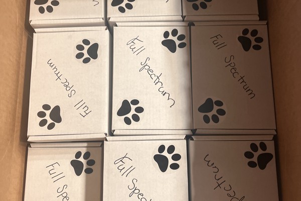A shipping box filled with white Full Spectrum sensory-kit boxes, each printed with a paw-print logo